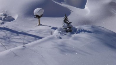 Blick in den verschneiten Garten Sonnenberg