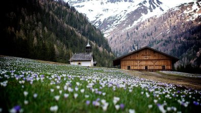 Natur Villgratental Frühjahr, © Edelberg Apartments