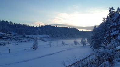 Blick von der Terrasse auf den Reintalersee, © Haflingerhof