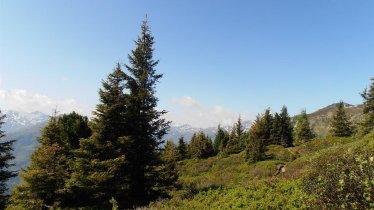 Berglandschaft am Spieljoch