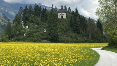 Burg Schrofen