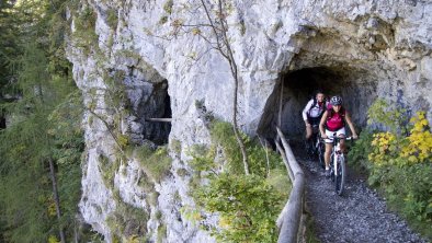 Rad- und Mountainbiken am Zw├Âlferkopf