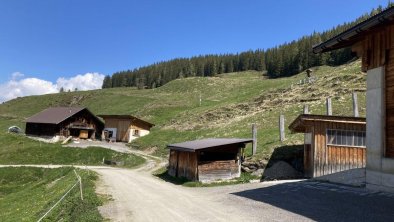 hanslettalm