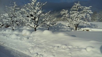 Sieglhof_Alpbachtal_Breitenbach_Obstgarten Winter, © Sieglhof