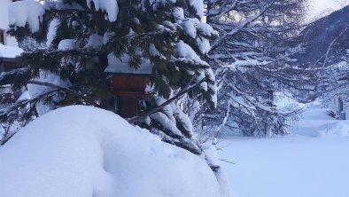 Ausblick_Haus_Auer