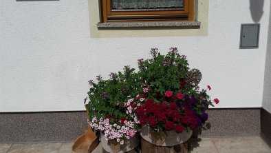 Hausblumen