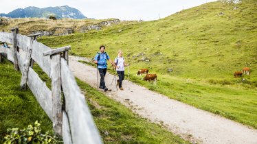 Wandern in den kitzbüheler Alpen, © Mirja Geh/Eye 5