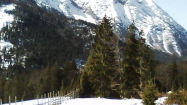 Bärenwaldweg mit Blick auf den Unnütz