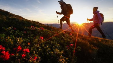 Sonnenaufgang in den Zillertaler Alpen