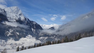 Blick vom Fenster