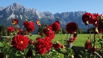 Aussicht Wilder Kaiser, © Werbeagentur ia - Renate Sykes