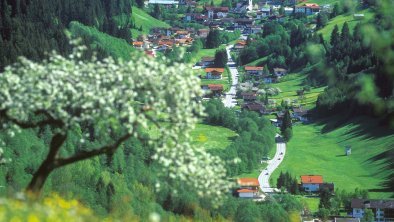 Auffach Frühling 2 FG A. Niederstrasser. Rechte TV