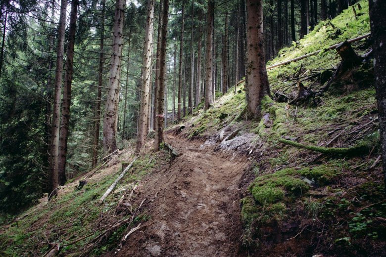 &nbsp;

Waldbesitzer und Wegebauer m&uuml;ssen in puncto Trails einen gemeinsamen Weg finden. &copy; Manfred Jarisch&nbsp;
