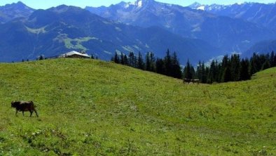 Blick von unserer Almhütte Zillertal