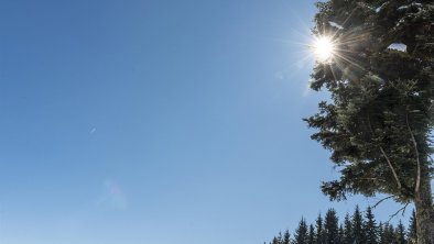 Markbachjoch Niederau Wildschönau März 2018 FG Tim