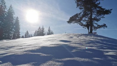 Haus Sonnegg Umgebung Achentalalm