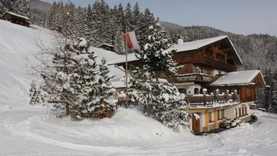 Zillertal-Fügen-berg-Kohleralmhof (243)