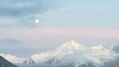 Ahornblick im Winter