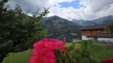 Ausschicht von der Terrasse