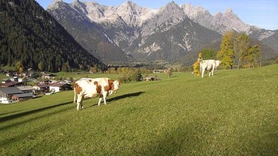 Blick auf die Loferer Steinberge