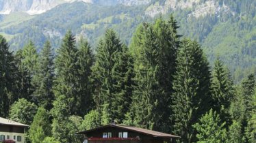 Hausansicht Sommer II mit Wilden Kaiser