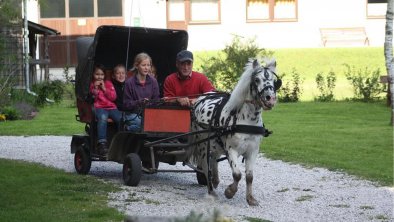 Ponykutsche fahren - immer ein Spaß, © Tschaperhof