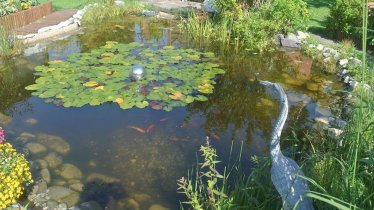 Gartenteich