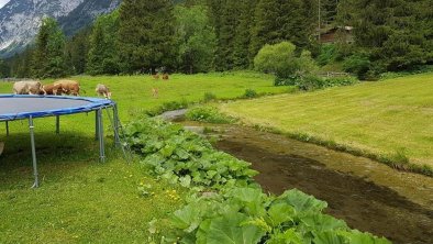 Landhaus Alpenblick Leutasch_ Garten Rossbrandbach