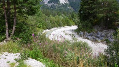 Hinterseite des Hauses: Der Giessenbach, © Das Haus am Walde