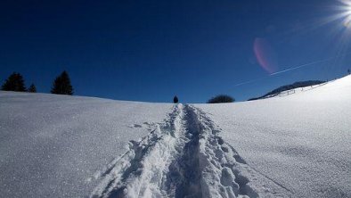 Bild_Schneeschuhtour_scale_800_700