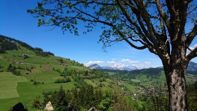 Blick auf Niederaun von Zagler Sommer FG T.L. Rech