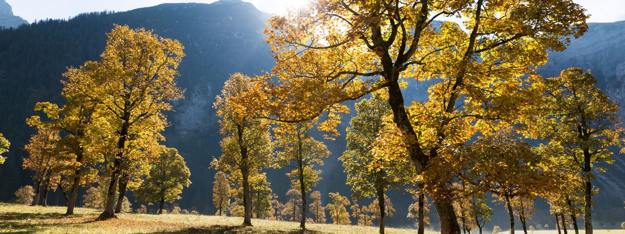 Ahornboden in der Eng, © Tirol Werbung/W9 Studios