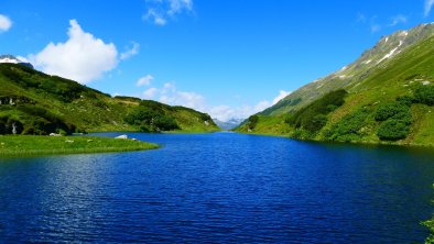 Langsee