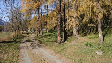 Apart Armin Oetztal Herbst