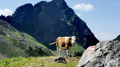 alpbachloft_alpbachtal_abstiegkleinergaltenberg, © Anna-Christina Moser