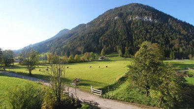 Ausblick vom Haus im Sommer