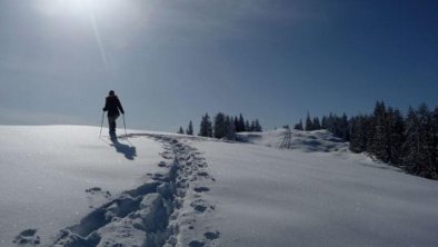 Schneeschuhwandern