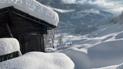 Winter_Futterhaus