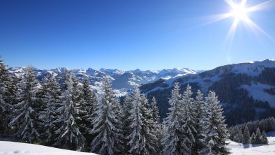 wunderbare Wintertage