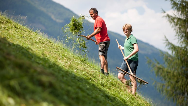             Freiwilligenarbeit auf Bergbauernhöfen, © Martin Lugger