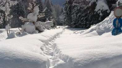 unberührte Natur rund ums Haus