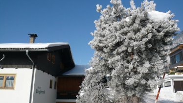 haus bergfreund-wi