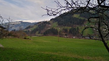 Aussicht (2)