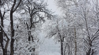 (C) Vordermitterast Apartments | Winterlandschaft