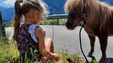 Mit Luna spazieren