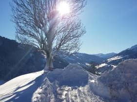 Gasthof Schöntal, © bookingcom