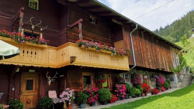 apart_ponholz_Zillertal_Blumenpracht_sommer_aussen