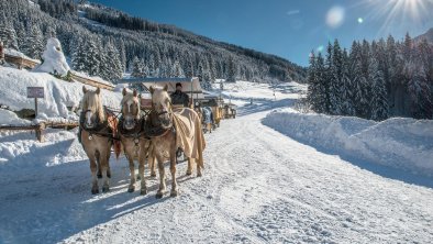 Pferdekutschen Wildschönau