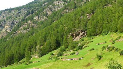 Ausblick vom Stiegenaufgang