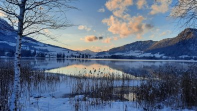 Walchsee Südufer